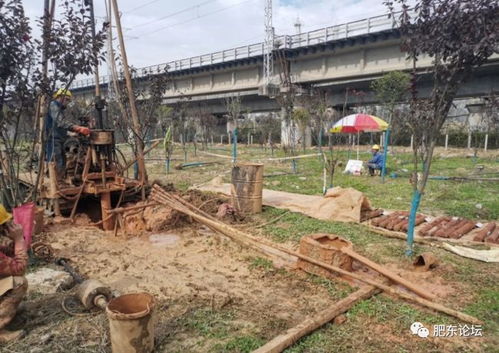 沿江高鐵肥東段迎關(guān)鍵節(jié)點(diǎn) 店埠河特大橋啟動(dòng)勘測(cè)，為2020年開(kāi)工建設(shè)鋪路